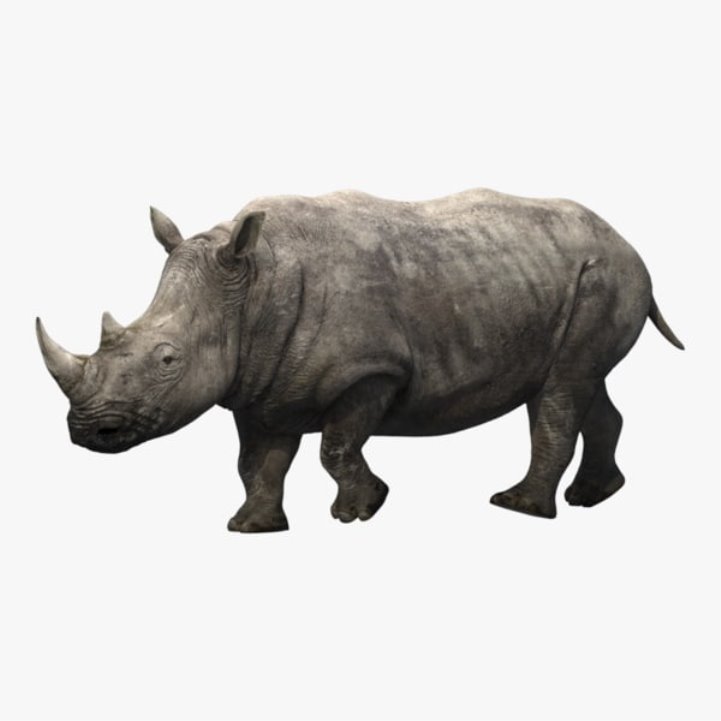 3D модель Анимированный носорог - TurboSquid 1197965